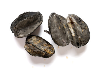 top view badly moldy starfruits on a white background
