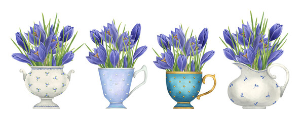 Collection of spring floral illustrations with purple crocuses. Watercolor vintage illustration on white background. Bouquets of crocuses in tea cups, vase, milk jug