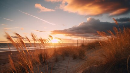A beach during golden hour