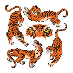 Fototapeta na wymiar vector illustration of a tiger in four colored styles