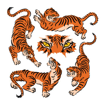 vector illustration of a tiger in four colored styles