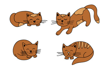 Hand drawn cat clipart. Cute pet doodle set