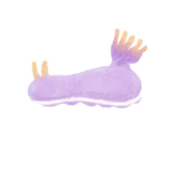 watercolor sea slug
