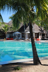 swimming pool in the tropical resort