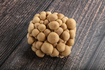 Raw asiam delicacy mushroom Shimeji