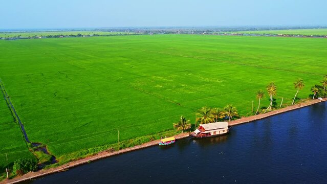 Aerial shot of Houseboats on Kerala backwaters, in Alleppey, Kerala, India
