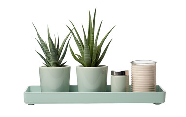 A Desk Organizer with a Potted Aloe Vera, Mug and Tray Which Inspiring Efficiency and Calm on a White or Clear Surface PNG Transparent Background.