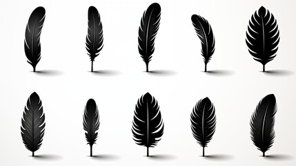 Bird feather icons on white background 