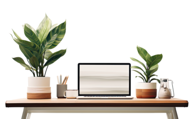 Home Office Setup with Computer, Plant Pot, and Desk Organizer on a White or Clear Surface PNG Transparent Background.