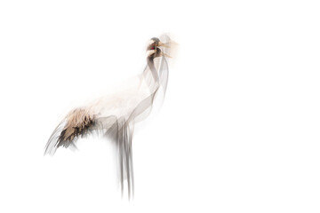 An artistic work where photography and lines meet. White background. Crane.