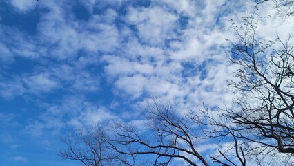 冬の青空・光／겨울의 푸른 하늘 · 빛／winter blue sky/light
