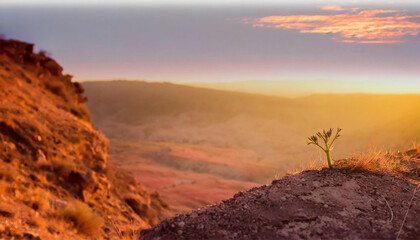 Small seed sprouting on the edge of a mars mountain, red sky, sunset and dawn and deep dead valley in the background