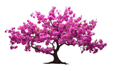 Fototapeta premium A Dance of Elegance as the Tree Showcases its Purple Finery on a White or Clear Surface PNG Transparent Background.