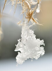 Schneekristall