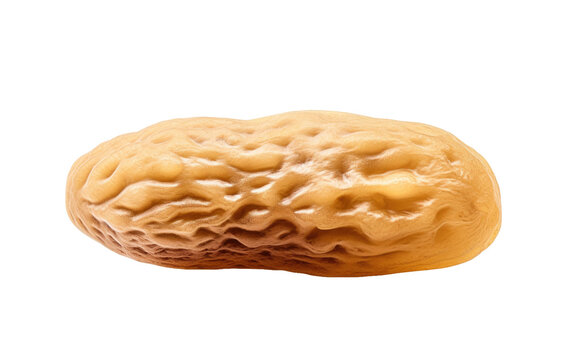 Savoring the Authentic Flavors of Traditional tigella Cuisine on a White or Clear Surface PNG Transparent Background.