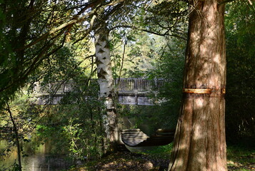 Fototapeta premium Park in Autumn in the Town Bad Bevensen, Lower Saxony