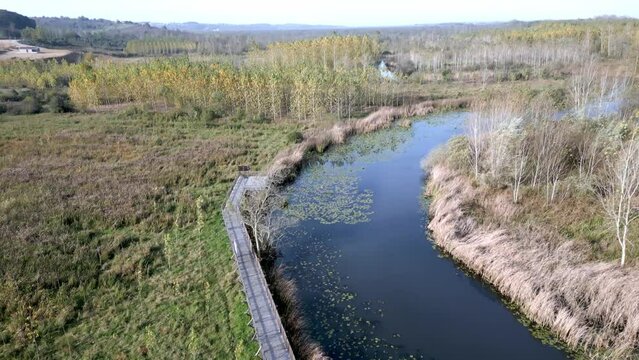 Acarlar Longozu Aerial Landscape Aerial View