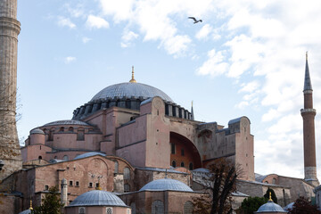 Fototapeta na wymiar Seagull flying over Hagia Sophia, under a blue sky
