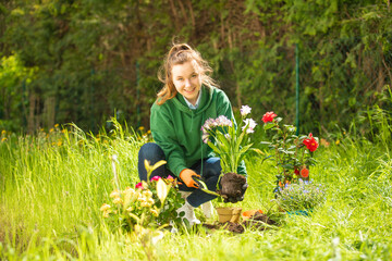 young smiling girl transplants flowers  into ground