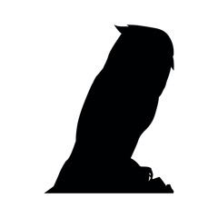 owl silhouette transparant background