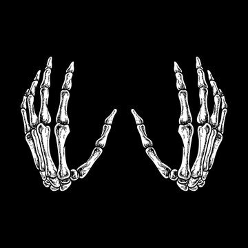 Hand skeleton vector drawing illustrator