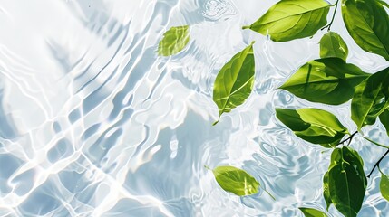 Experience a transparent and clean white water and green leaf background with sunlight reflection, perfect for a beauty backdrop, spa, and wellness concepts, offering ample copy space, Ai Generated.