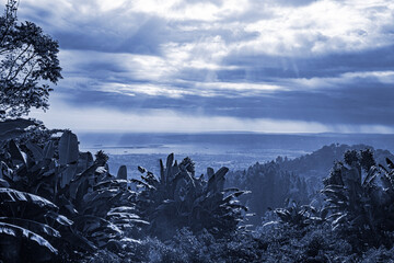 jamaica landscape in carribean sea and wild nature