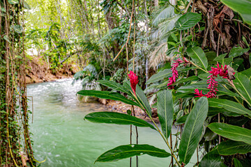 jamaica landscape in carribean sea and wild nature
