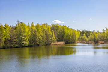 Landscape view at a lake with budding green trees