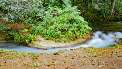 jamaica landscape in carribean sea and wild nature