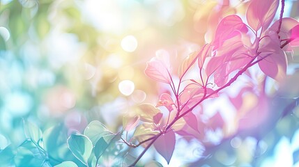 The nature background's color tones blur with light, resembling a pastel multicolored wallpaper...