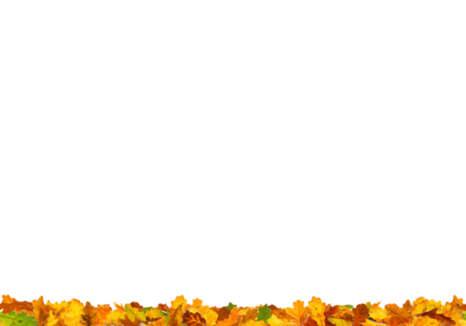 isolated half frame autumn maple border png overly on white background