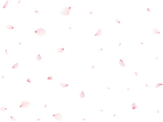 Falling Cherrty Petals