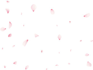 Falling Sakura Petals