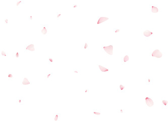Fototapeta na wymiar Falling Sakura Petals