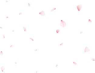 Falling Sakura Petals