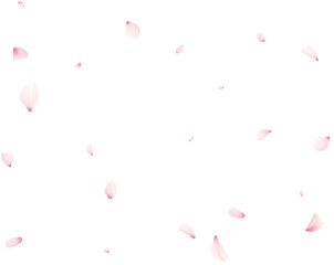 Falling Sakura Petals