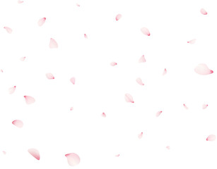 Falling Sakura Petals
