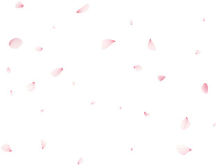 Falling Sakura Petals