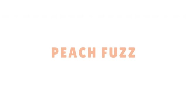 Motion graphics text animation Peach fuzz on a white background, seamless video
