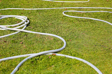 Garden hose for watering plants