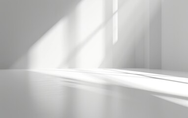 backgroundWhite tone , Studio light room.