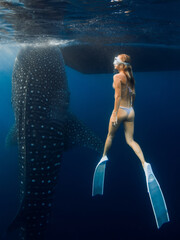 Slim woman with fins and whale shark in ocean. Shark underwater and freediver