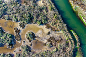 Aerial view of Pineta San Vitale in Marina Romea, Ravenna