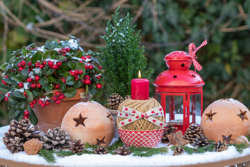 Garten-Weihnachtsarrangement mit einer roten Kerze, Scheinbeere, Konifere, Laterne und...