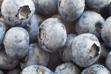 Freshly picked blueberries, close up