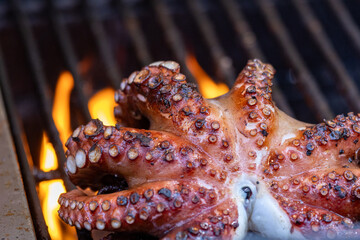 grilled octopus fire grilled fish dish