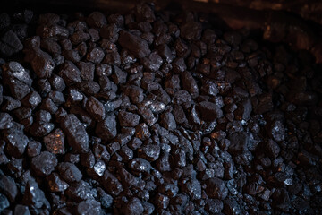 The Texture and Background of Coal: A Fossil Fuel for Industrial and Domestic Heating