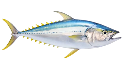 Foto op Canvas Atlantic tuna yellow fin fish isolated on transparent background, PNG © Rames studio