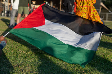Person seen holding Palestinian flag